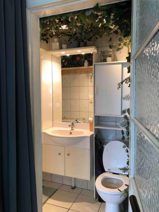 Studio Zeezucht Blankenberge Eksteriør bilde